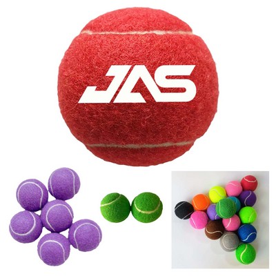 Colorful Training Tennis